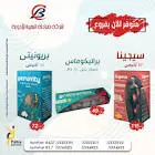 سيجينا 10 اكياس 