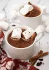 Hot Chocolate Mexican