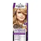 PALETTE HAIR COLOR GODDESS GOLD BLONDE NUMBER 9-65
