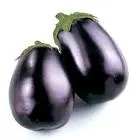 بتنجان رومي 