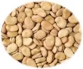فول بلدي