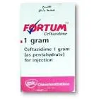 Fortum 1g vial