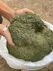 Saada Indian Basmati Rice First Grade