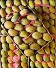 مانجو عويس درجه اولي