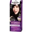 PALETTE HAIR COLOR BLACK DIAMOND NUMBER 1-0