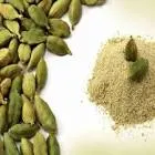 حبهان