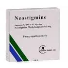 Amoxicillin 0.5 mg/ml 3 ampoules
