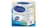 Carteno 10 sachets
