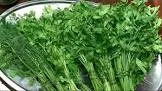 خضره محشي