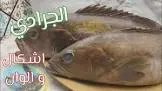 وقار جوادي