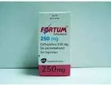 Fortam 250mg vial
