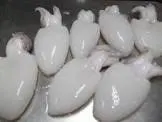 سبيط