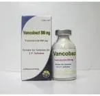 Vancomycin 1g vial