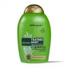 EVER PURE SHAMPOO TEA TREE MINT 385 ML