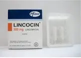 Lincobiotic 300 mg 3 ampoules