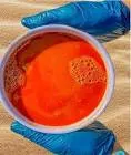 شوربة ساده Red