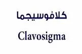 كلافوسيجما 250مجم/62.5مجم معلق 60 مل