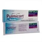 بالميكورت 500mcg 
