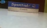 Essential Cream 60g