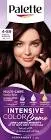 PALETTE HAIR COLOR INTENSIVE AUBERGINE NUMBER 4-89